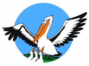 логотип конкурса пеликан